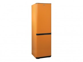 Холодильник Бирюса T380NF
